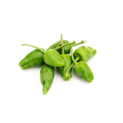 POIVRON PADRON 10X200G